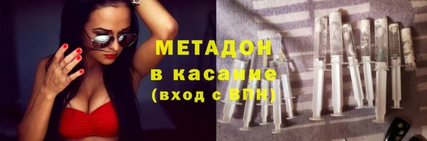 прущие грибы Балабаново