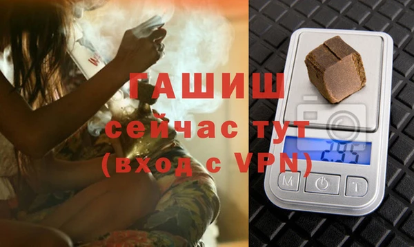 прущие грибы Балабаново