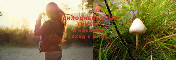 стафф Беломорск