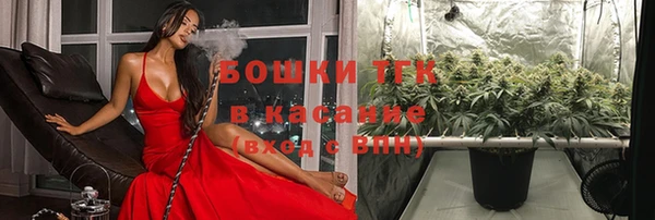 прущие грибы Балабаново