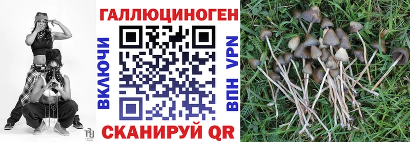 Галлюциногенные грибы мухоморы  дарнет шоп  shop Telegram  Горняк 