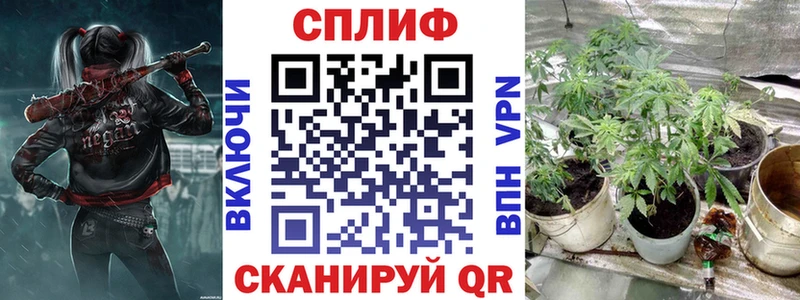 МАРИХУАНА сатива  Горняк 